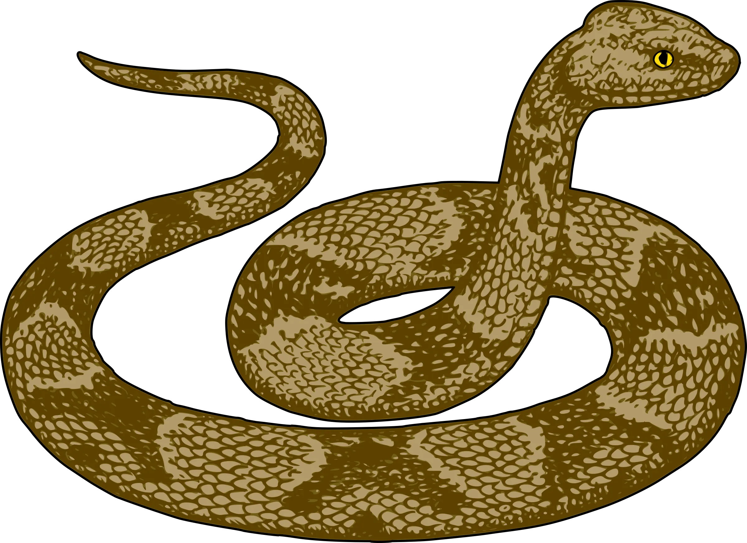 anaconda fierce expression, intimidating presence, wild nature png